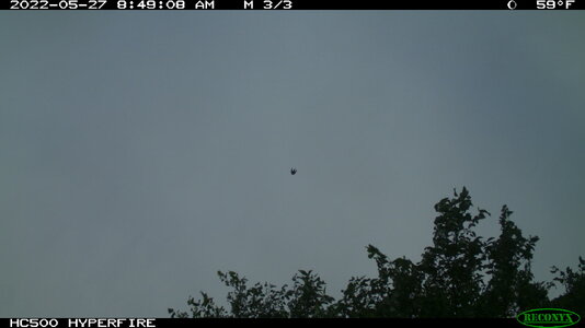 IMG_0276-ufo2.jpeg