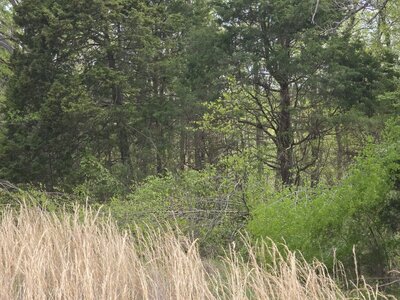 20250420_104659 (Medium).jpg