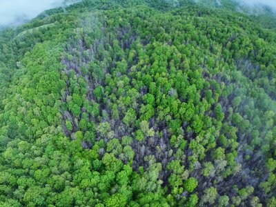 DJI_20250505214321_0022_D (1200 x 900).jpg