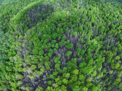 DJI_20250505214711_0036_D (1200 x 900).jpg