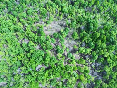 DJI_20250514222847_0020_D (1200 x 900).jpg