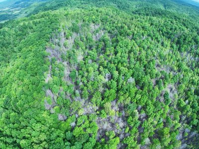DJI_20250514222922_0021_D (1200 x 900).jpg