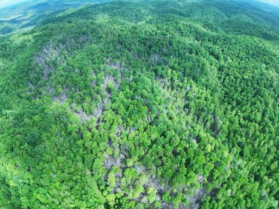DJI_20250514223113_0028_D (1200 x 900).jpg