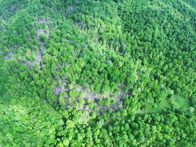 DJI_20250514223123_0029_D (1200 x 900).jpg