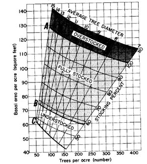 hardwoodstocking1.jpg