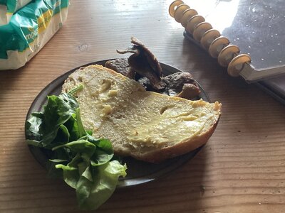 IMG_1686.jpeg