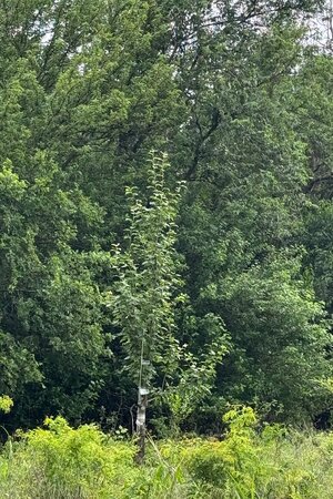 IMG_0920.jpeg