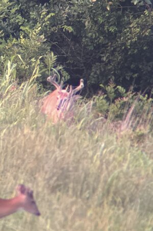 IMG_0962.jpeg