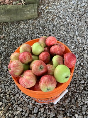 IMG_5419.jpeg