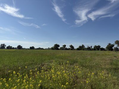IMG_5575.jpeg