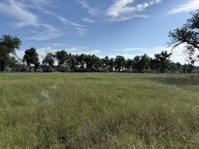 IMG_5576.jpeg
