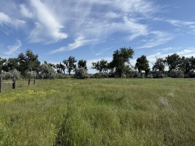 IMG_5577.jpeg