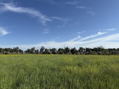 IMG_5579.jpeg