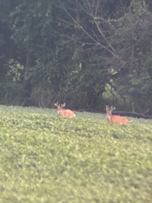 IMG_1083.jpeg