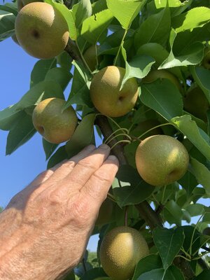 IMG_5528.jpeg