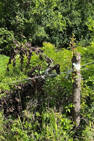 IMG_1122.jpeg