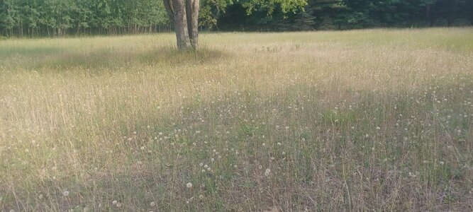20250713_180714.jpg