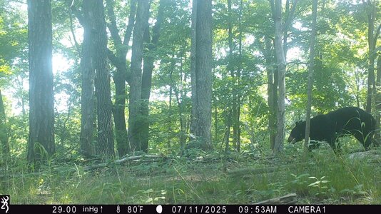 IMG_0028 (1200 x 675).jpg