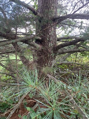 IMG_5573.jpeg