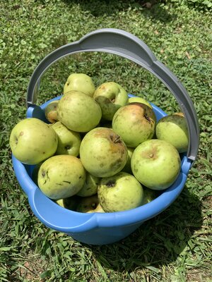IMG_5577.jpeg