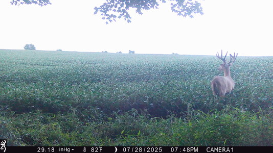RR1-IMG_0040.jpeg