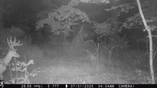 IMG_0027 (1300 x 731).jpg
