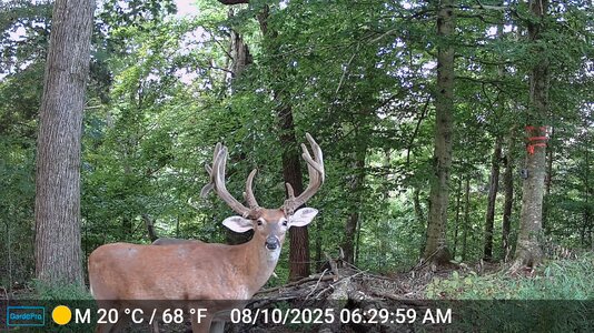 mr50-DSCF0637.JPG