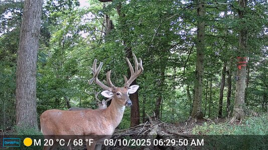 mr50-DSCF0636.JPG