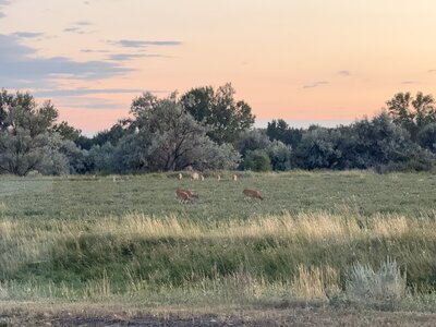 IMG_6433.jpeg