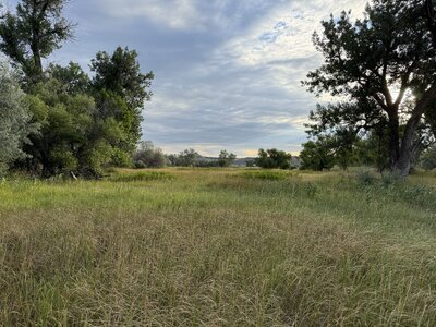 IMG_6444.jpeg