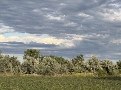 IMG_6452.jpeg