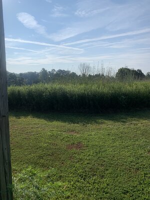 IMG_5694.jpeg