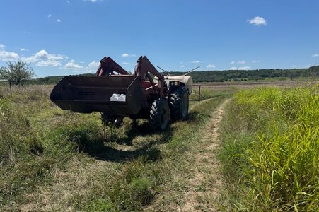 IMG_1234.jpeg