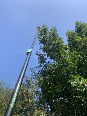 IMG_5710.jpeg