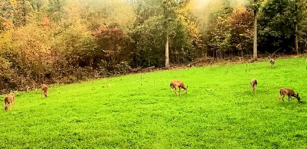 20211022_175734.jpg 20211022_175734.jpg