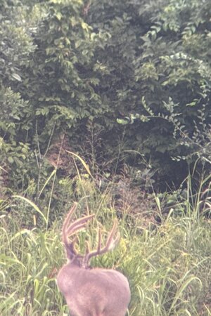 IMG_1304.jpeg