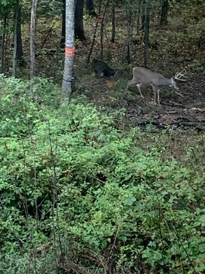 IMG_5777.jpeg