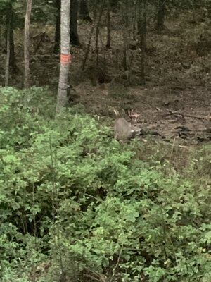 IMG_5789.jpeg