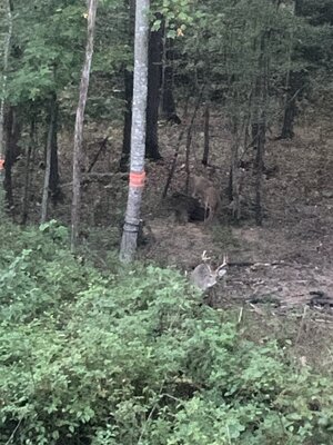 IMG_5807.jpeg