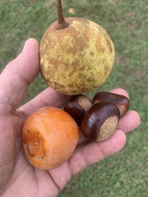 IMG_5814.jpeg