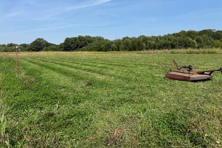 IMG_1334.jpeg