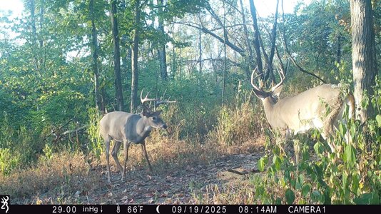 IMG_0016 (1300 x 731).jpg