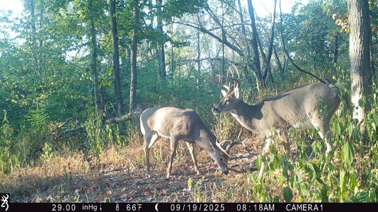 IMG_0026 (1300 x 731).jpg