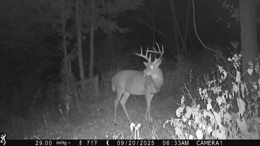 IMG_0096 (1300 x 731).jpg