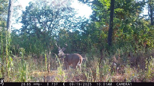 IMG_0050 (1300 x 731).jpg