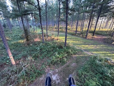 IMG_0357.jpeg