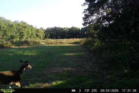 IMG_1382.jpeg