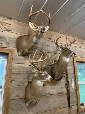 IMG_7497 (900 x 1200).jpg