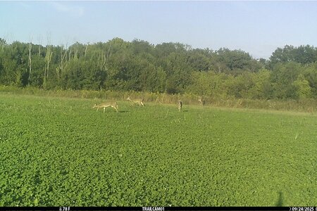 IMG_0030.jpeg