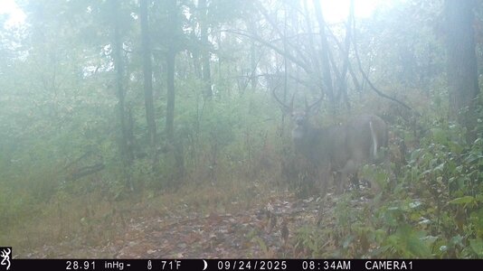 IMG_0593 (1300 x 731).jpg